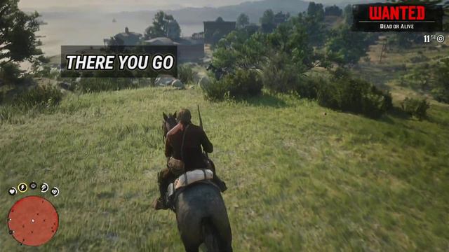 How To Get Javier's Horse In Red Dead Redemption 2 | RDR2 | Javier's Horse (Boaz) | PS4 Slim