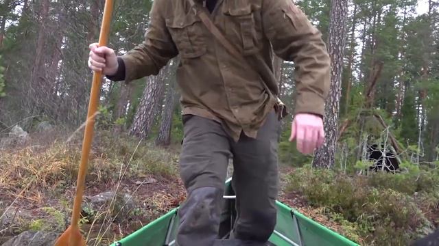 Потрясающая охота на глухаря. Охотничьи приключения в Норвегии (NORDIC WILD HUNTER)