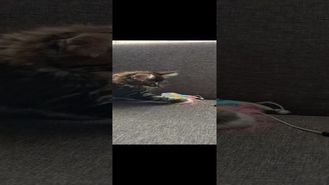 Первые минутки в нашем доме. И выбор имени ?