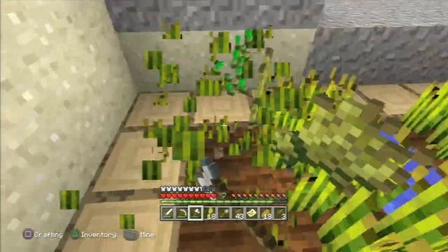 4868481292dcb31525a4901170a7ca30