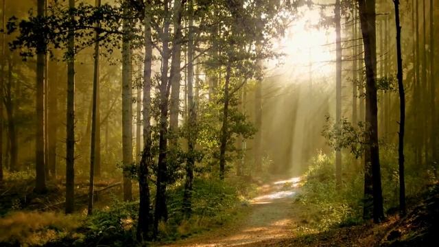 Успокаивающая медитация