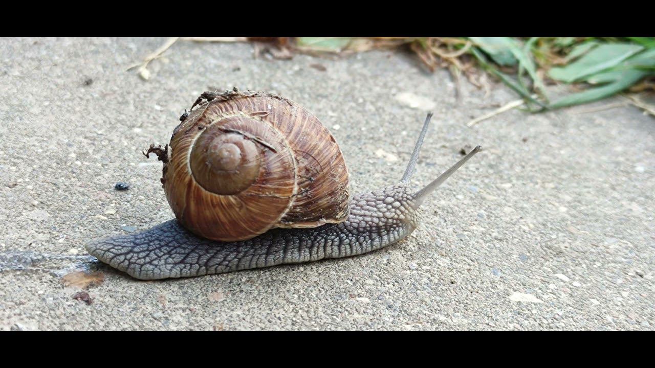 E4937bef040054e6456a98c33216937b