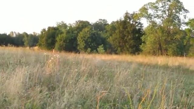 Самолет PCHELKA взлет с мин.скоростью