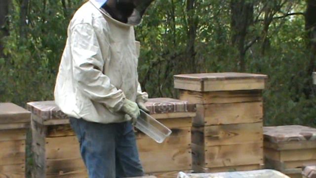 Как я кормлю пчел на зиму.