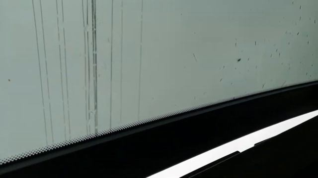 Модные принты