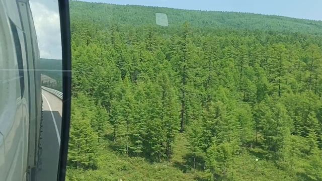 Тайга, идем на Якутию