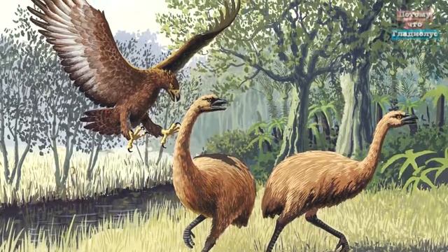 Bab4dc173773eed43b387662719bf958