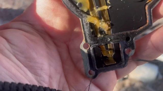 Интерьеры, вдохновленные искусством