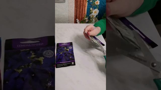 Наш эксперимент. Какие петунии мы будем сажать