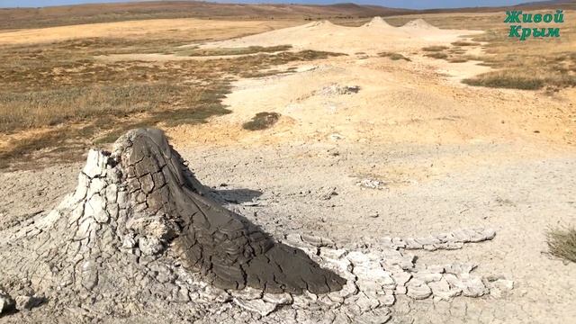 445c7fedeab1cba8e9cdb2bd40b0b6de