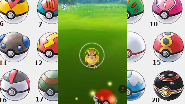 Мир радости