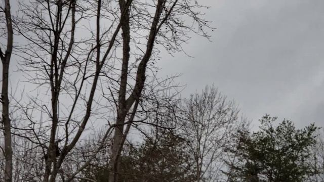 Чуть чуть из прошедшего дня  // Щенята  // Погода  // Вкусняшка .. // США.