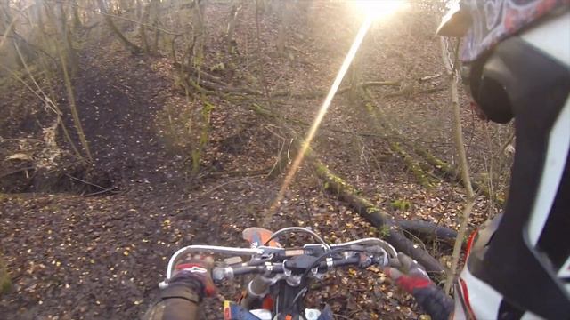 Образцово, овраг. 09.11.2020