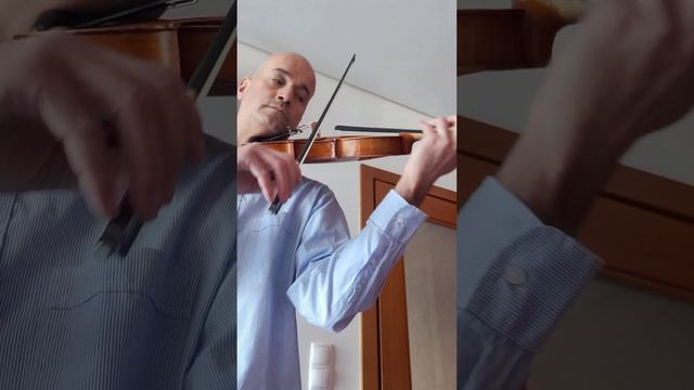 COMPAGNON JTL FRENCH VIOLIN - VIOLON ANCIEN - VIOLINO ANTIGO