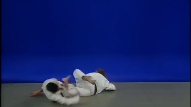 Ju Jitsu Traditionnel  Techniques De Base
