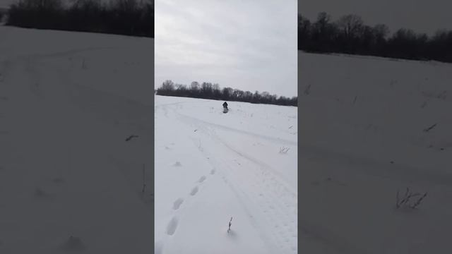 Мотобуксировщик Лидер 2