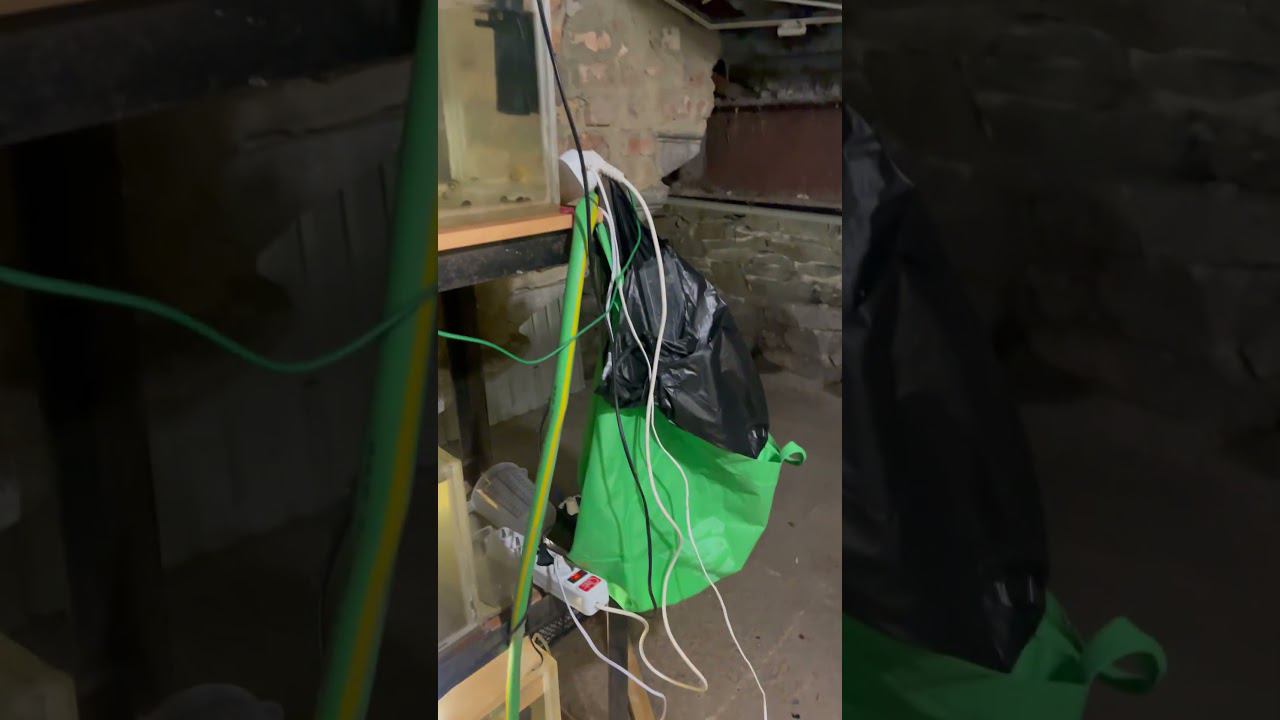 Еще кусочек переезда! О, боже, дай мне сил! ))) #aquariumshow #aquashow #aqarium