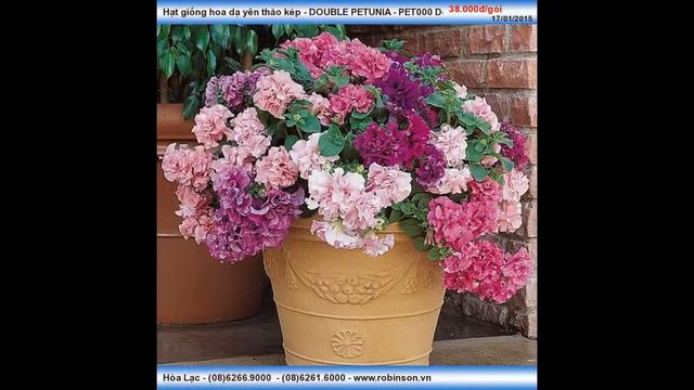 1072394fdbabca6e445a5457bb05dff6