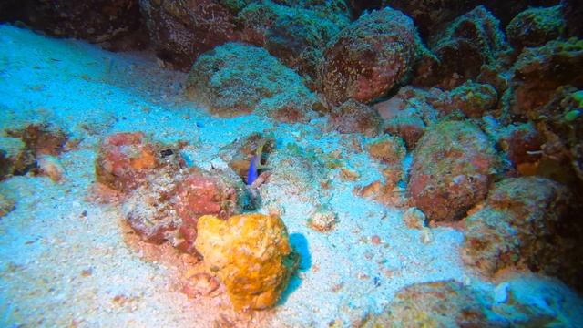 Pulau Weh And Freddies - Indonesia