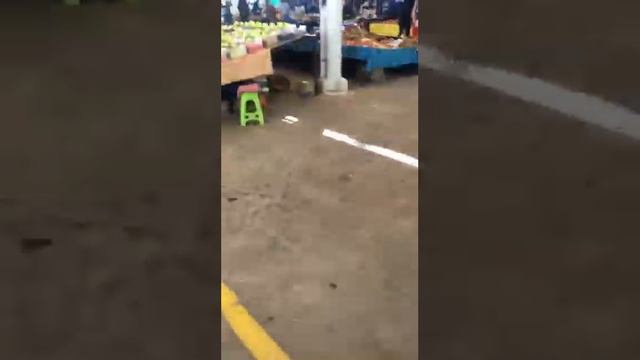 аланья турция,цены в турции,авсаллар турция,алания,турция сейчас, alanya turkey,турция 2023,avsalla