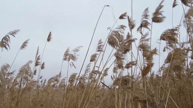 24 крайний выход - охота пуще неволи