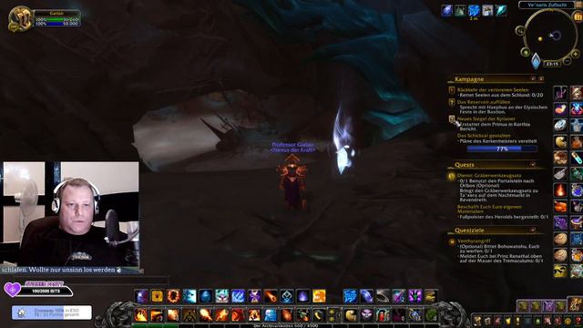 WoW Shadowlands [117] Kampagne - Ketten Der Herrschaft 7/9 Der Große Empfang #worldofwarcraftguide