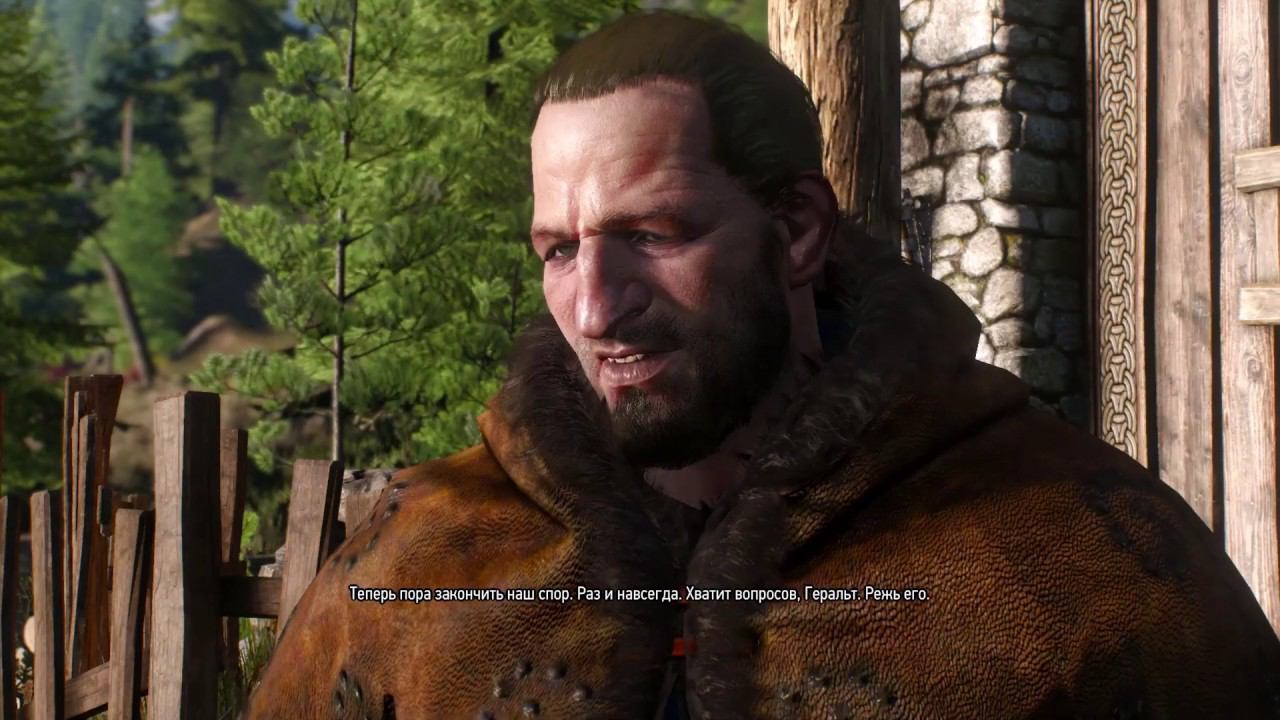 The Witcher 3 - Неоплаченный долг - Скеллиге №141