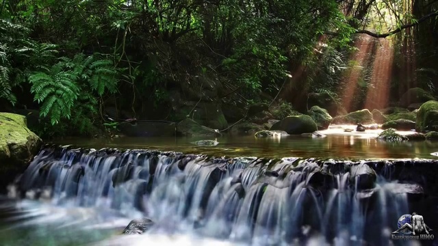 Видео для релаксации 01