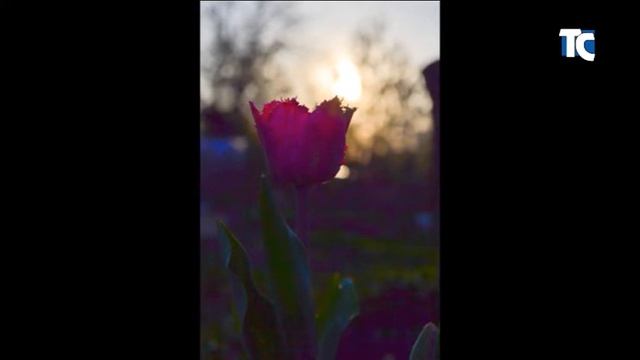 Фотовыставка Натальи Чесноковой 