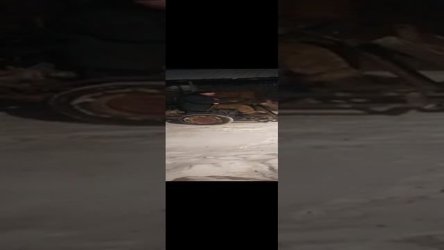 Мини погрузчик. Первый выезд.