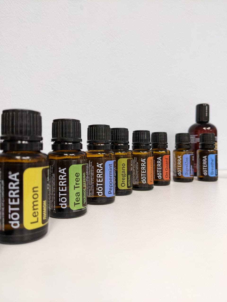 Семейный набор, Светлана Телегина.