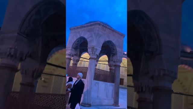 6 февраля 2024 г.