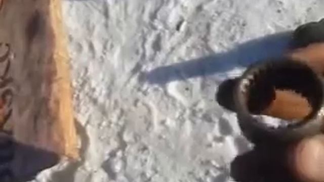 Дизайн и современность