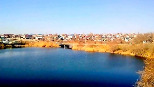 Экспертный выбор