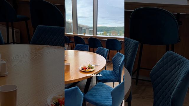 Как я попала на фестиваль новых медиа? СЕРИЯ 1.