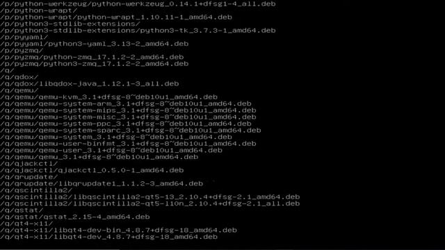 Repository Debian 10 Dengan Rsync Dan Dpkg-dev #part 2