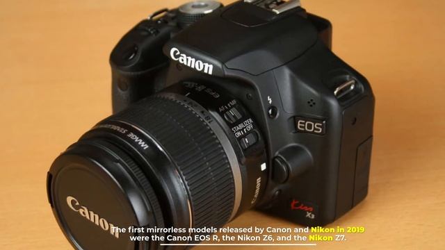 Canon VS Nikon Camera | Which Camera Brand Is Better?