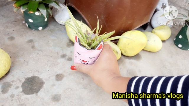 My Tressgarden Overview / Garden Renovation /houseplants Haul With Name / Indoor Plants