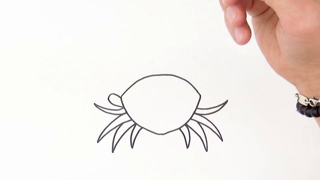How To Draw A Crab Easy Art Tutorial