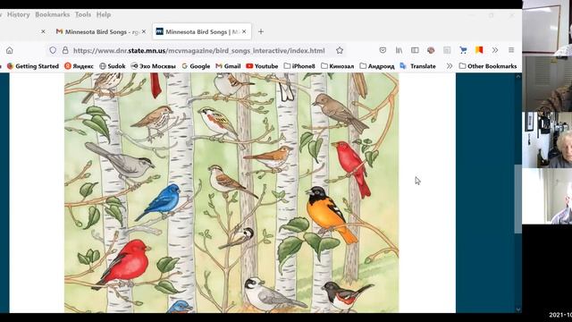 Урок 21 окт Стикеры на Раб столе  Работа с двумя экранами, пр