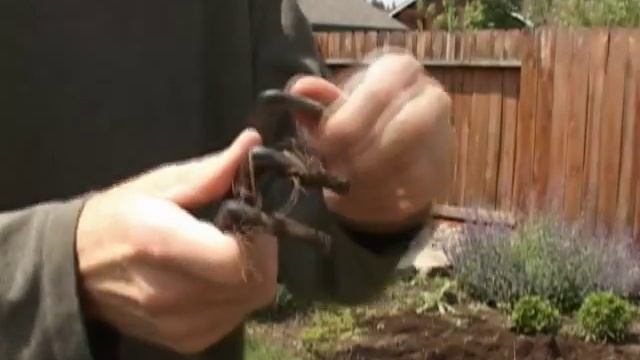 How To Assemble A Gardening Tool Set