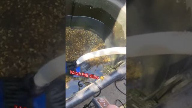Super Awesome Submersible Pump #fishkeeping #pond #fish