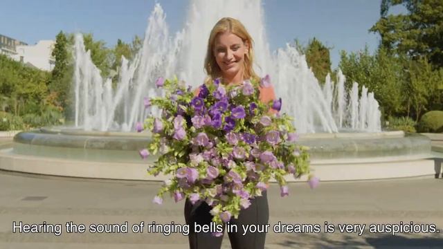 Evanthia | Campanula Big Ben In Copenhagen