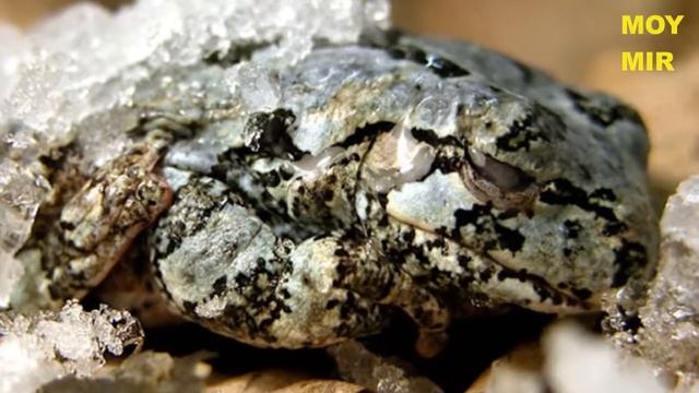 8c4fd91025755fb1c0570661feb34f82