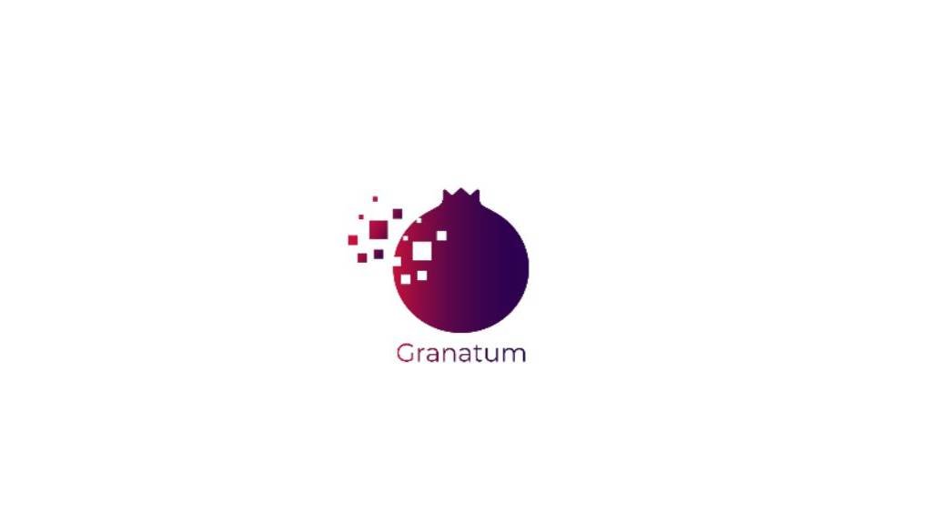 1. Шаблон сессии для Ассессмента на Granatum Solutions