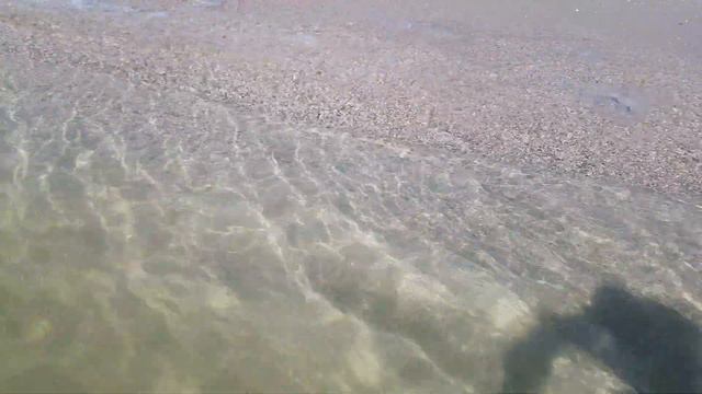 КИРИЛОВКА.МАДУЗЫ И БЛОХИ.