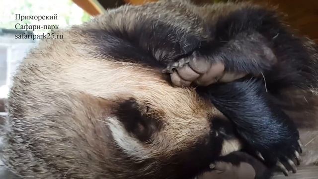 63022ba36aac579ca8cae9a444ff48fe