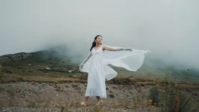 E491ad35f50c70b86d03a0609d3c7003