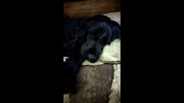 Beb0489e0e4e42a05b3678b0361b3f61