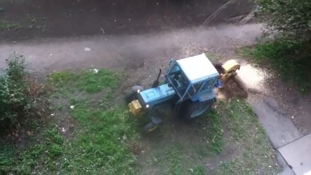 вырубают корни дерева ужас